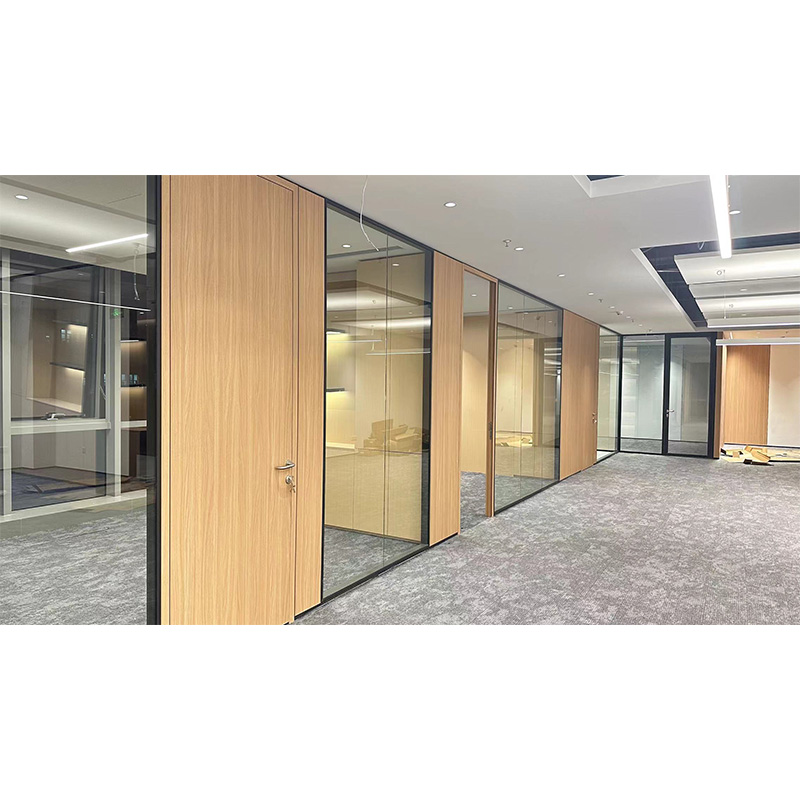 Office Double Glass Partition